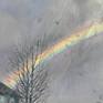 Rainbow detail