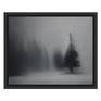 Visualization in a black frame.