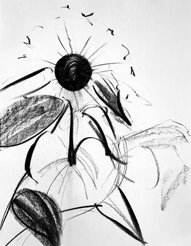 Original Abstract Botanic Drawings by MALA HORA