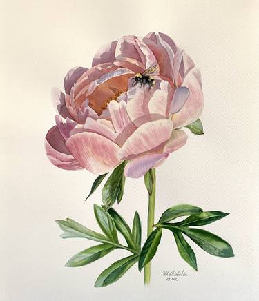 Print of Botanic Paintings by Olha Riabokon