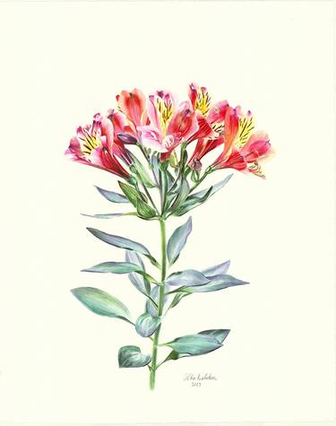 Print of Floral Paintings by Olha Riabokon