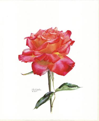 Print of Fine Art Floral Paintings by Olha Riabokon