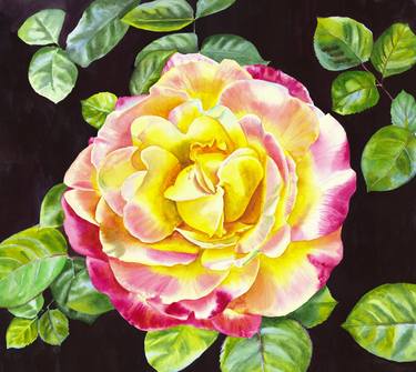 Watercolour yellow rose thumb