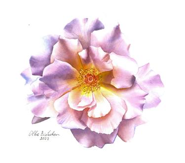 Watercolour Tea Rose thumb