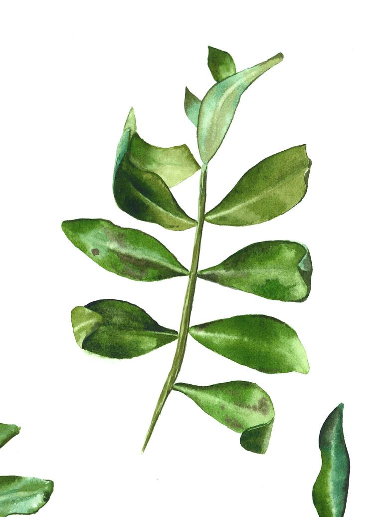 Original Expressionism Botanic Painting by Olha Riabokon