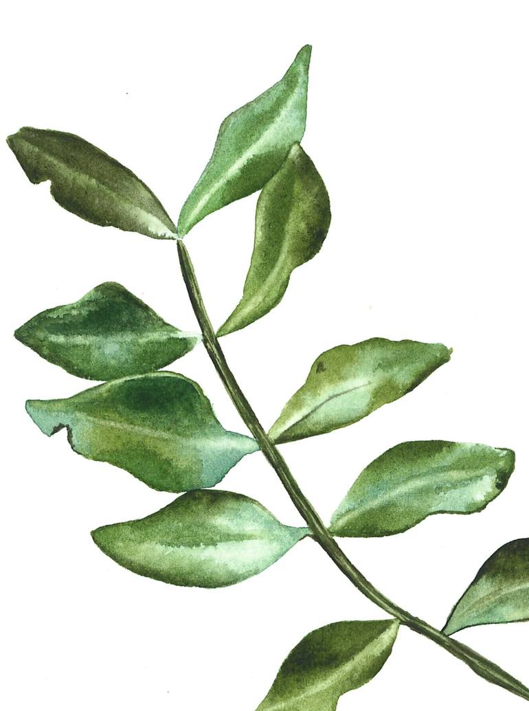 Original Botanic Painting by Olha Riabokon