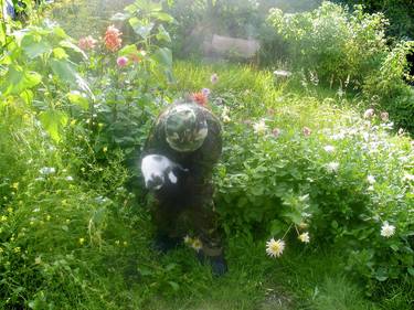 Original Conceptual Garden Photography by Peter Finnemore
