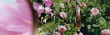 Original Abstract Nature Photography by Peter Finnemore
