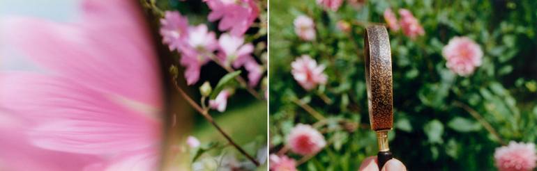 Original Nature Photography by Peter Finnemore | Abstract Art on Aluminum Dibond | The Way of Flowers