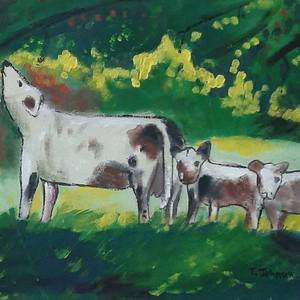 Cows