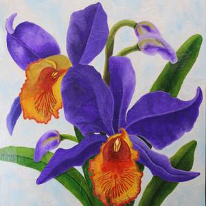 Orquidea Colombiana