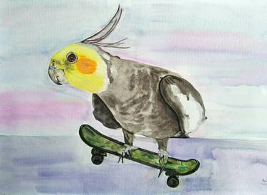 RL Art NZ - Skating Cockatiel Parrot Bird thumb