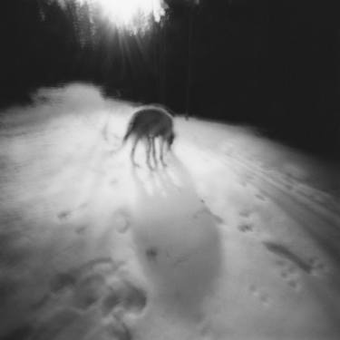 Maggie (Pinhole Photo) - Limited Edition 2 of 6 thumb