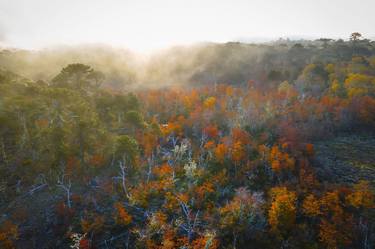 Original Realism Landscape Digital by Esteban Sunyer