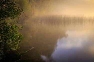 Original Photorealism Nature Photography by Esteban Sunyer