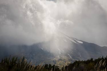 Print of Realism Nature Photography by Esteban Sunyer