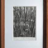 Collection Engraving