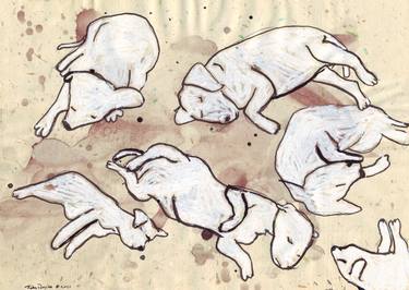 Study for Six Dead Puppies thumb