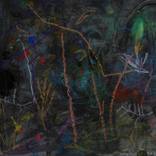 Collection John Douglas - Midnight Gardens