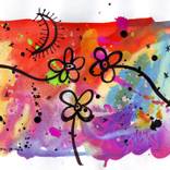 Collection John Douglas - Midnight Gardens