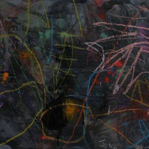 Collection John Douglas - Midnight Gardens