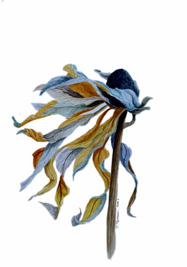 Original Illustration Floral Paintings by Tetiana Teresh