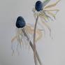 flower illustration