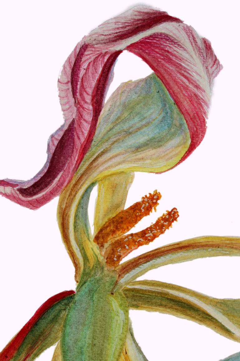 Original Illustration Botanic Painting by Tetiana Teresh