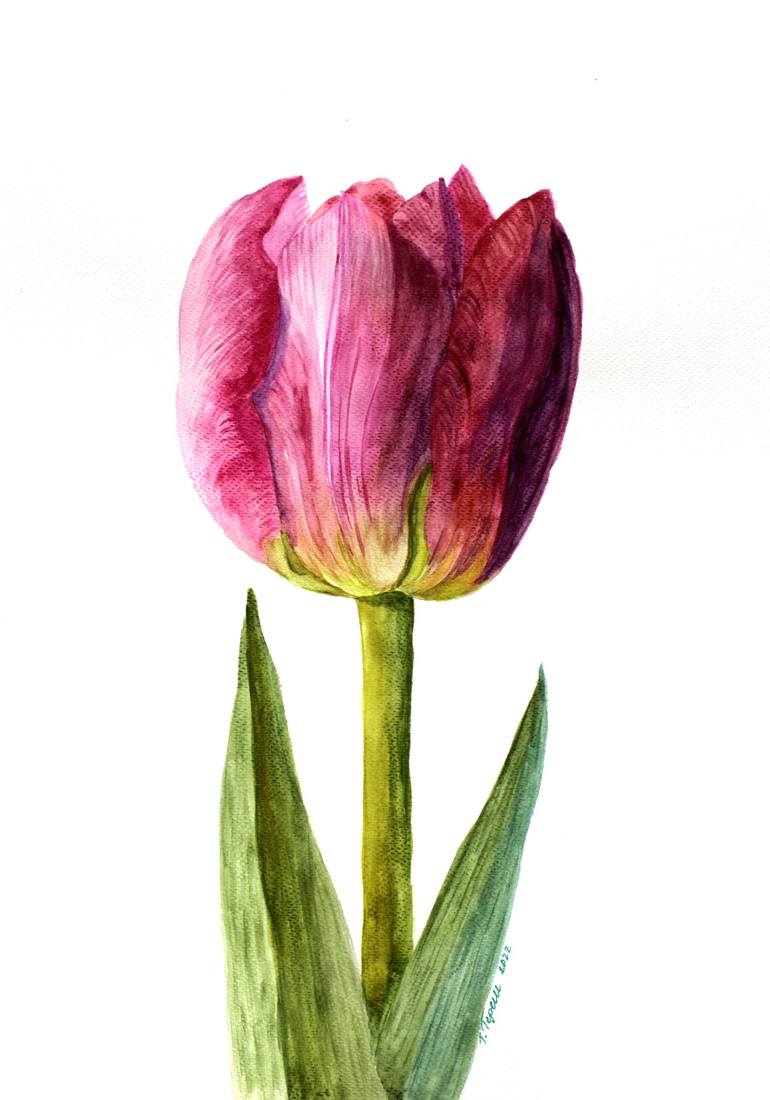 A tulip Painting by Tetiana Teresh | Saatchi Art