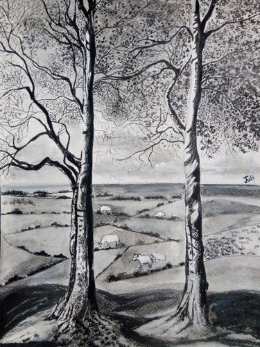 Print of Realism Tree Drawings by Juli Bhowmik