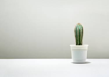 Print of Conceptual Still Life Photography by Olivier Meriel