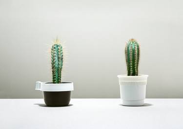 Print of Conceptual Still Life Photography by Olivier Meriel