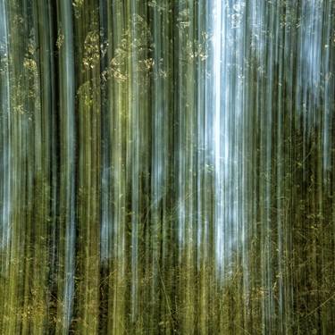 Original Abstract Nature Photography by Pascal Nivelet