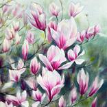 Magnolia Dream by Olga Necheporenko