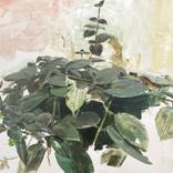 Hanging Plant #1 by Andres Moya