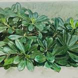 Untitled Painting 2 by Andres Moya