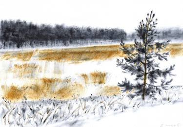 Winter reeds - oil on paper thumb