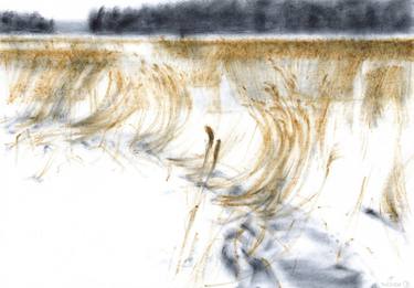 Winter reeds 2 - oil on paper thumb
