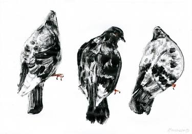3 pigeons - monotype on paper thumb