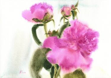 5 pink peonies - watercolor thumb