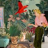 Befriending the Red Ibis by Lucy K