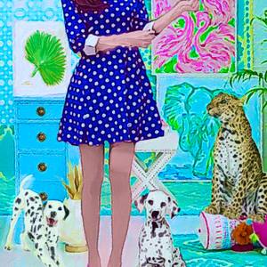 Collection Colorful Pop Art Inspired by Andy Warhol