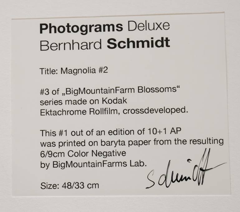 Original Symbolism Floral Photography by Bernhard Schmidt