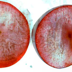2Plum