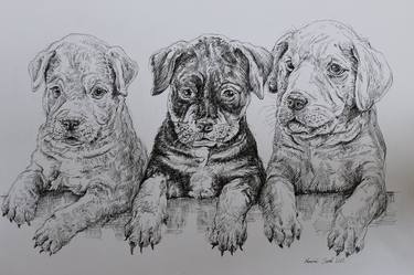 Print of Figurative Animal Drawings by David Mlinaric