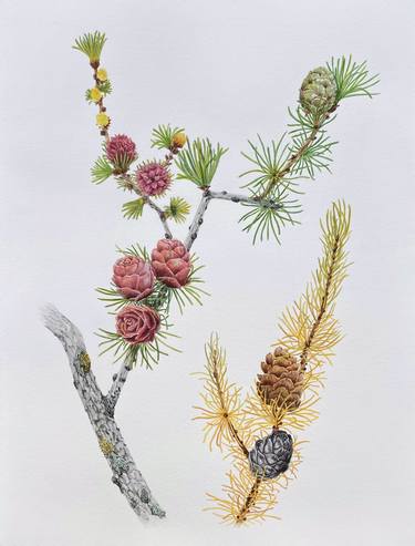 Original Botanic Painting by Katya Logvinova