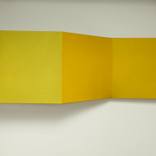 Fold (study in yellow) by Sarah Crossfield