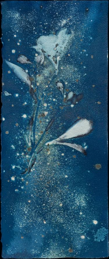 Magnolia cyanotype thumb