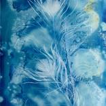 Peacock feathers by Stefan Kamenov