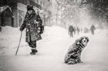 Print of Animal Photography by Stefan Kamenov